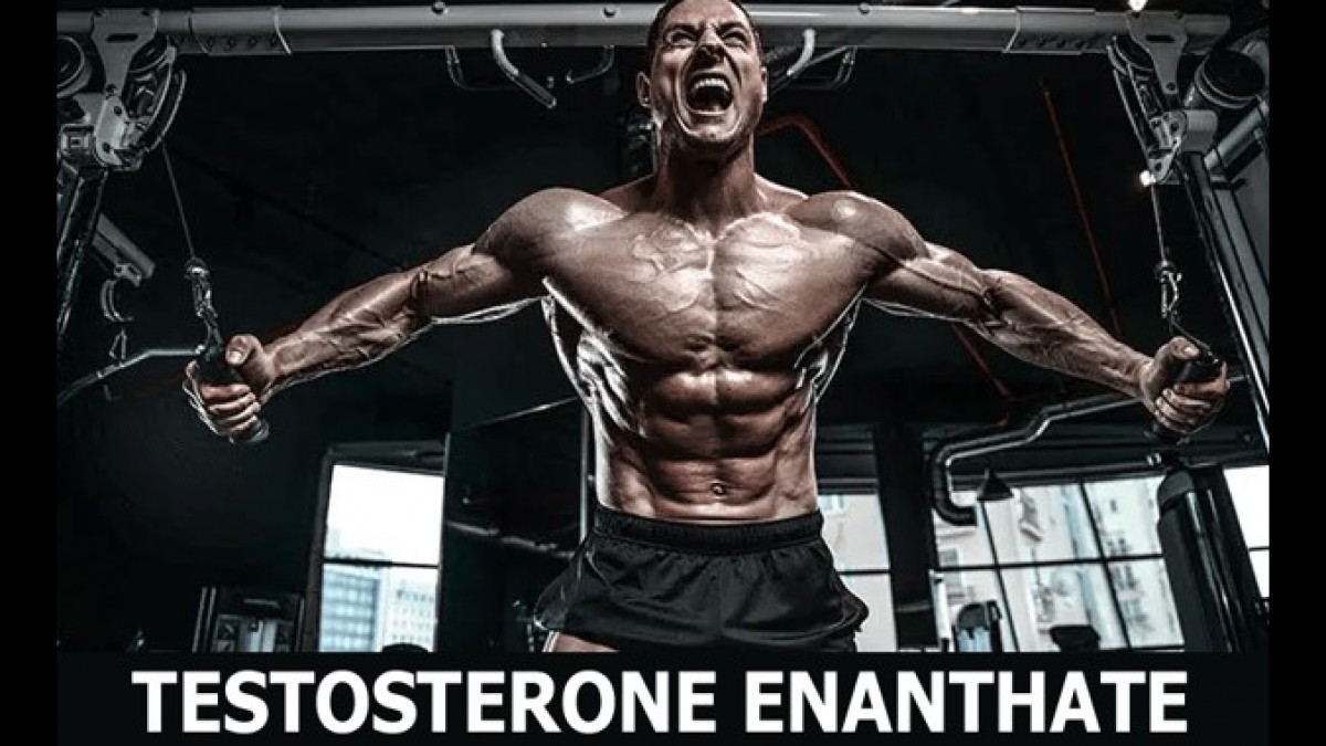 testosterone enanthate 300 mg