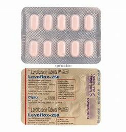 Pharmaceutical Levofloxacin 250mg x 10